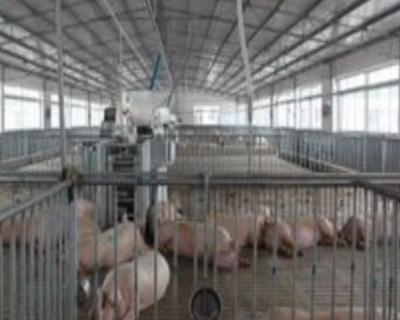 飼養廠汙水91视频首页入口