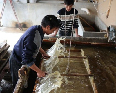 造紙91视频首页入口