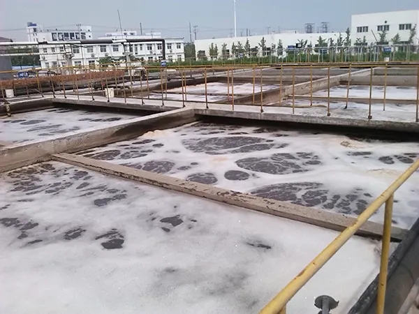水池91视频首页入口