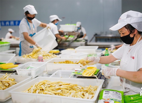 食品91视频首页入口
