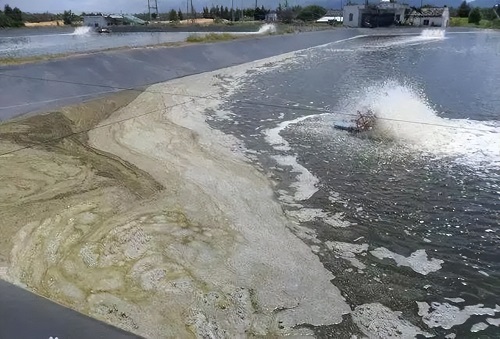 水池91视频首页入口